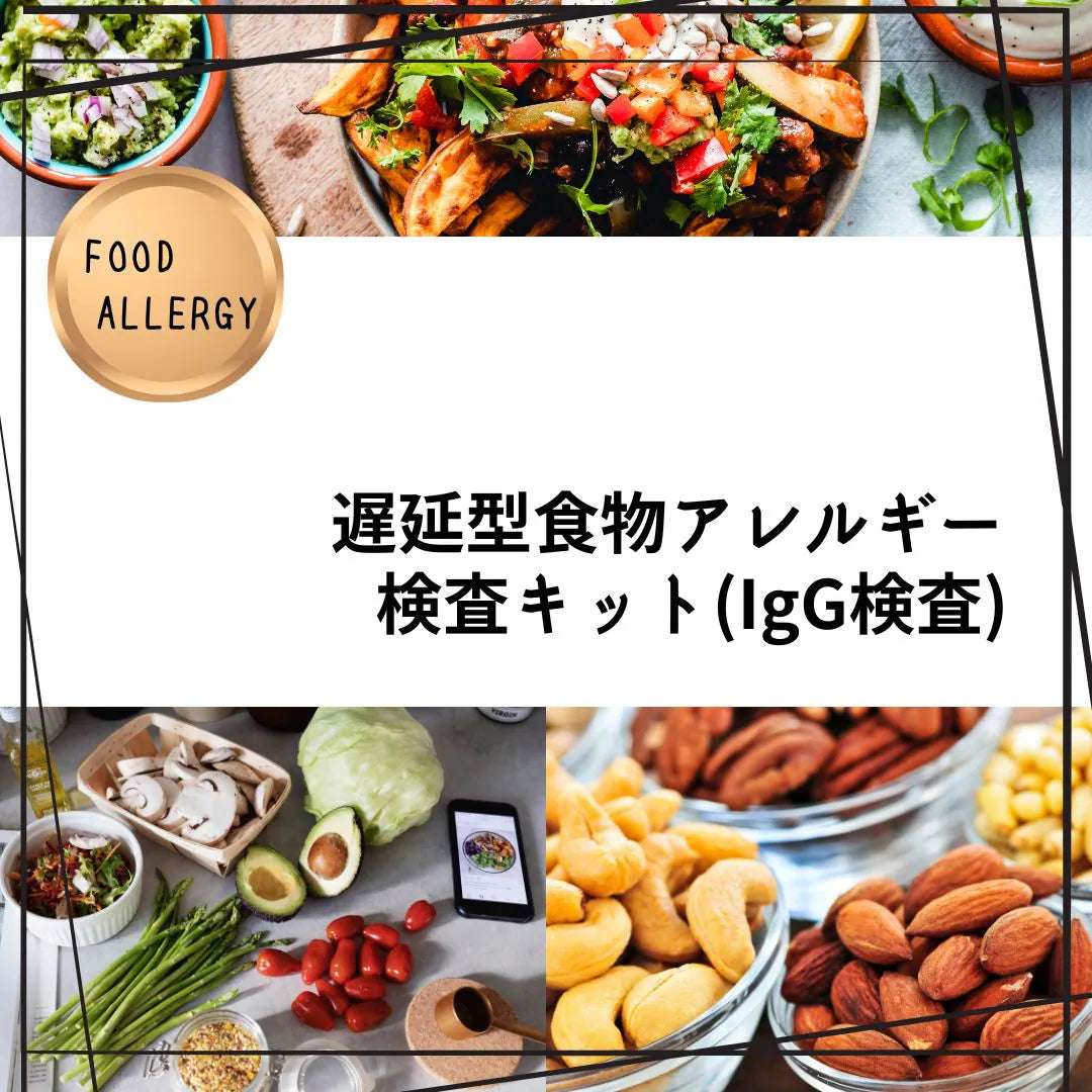 遅延型食物アレルギー検査キット