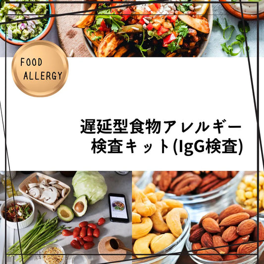 遅延型食物アレルギー検査キット